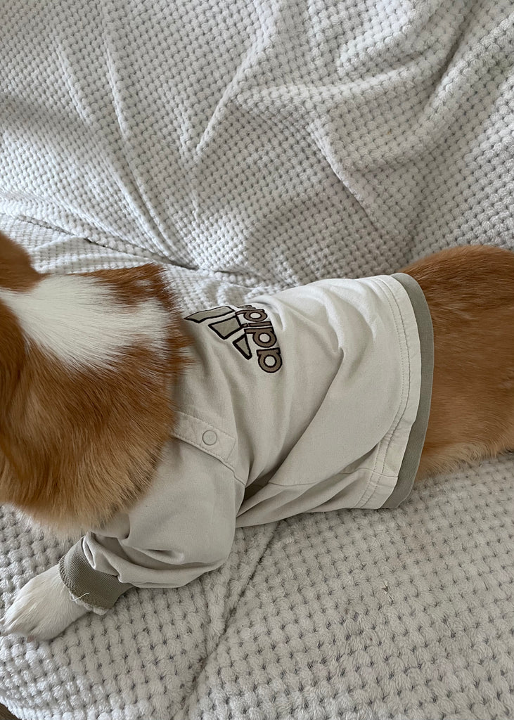 ADIDAS DOG SWEATER Thrift On Store