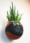 Reworked Basketball Planter SAMPLE